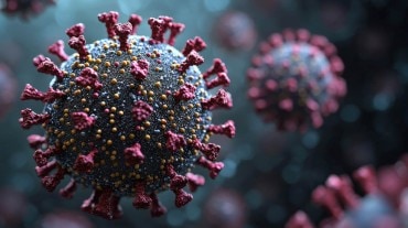 HMPV Virus Symptoms: A Comprehensive Guide to Recognizing Human Metapneumovirus