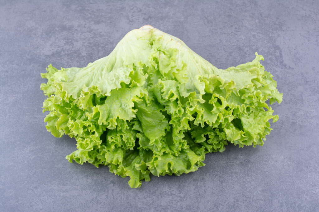 Lettuce: A Versatile Superfood and a Recipe for a Healthy Diet