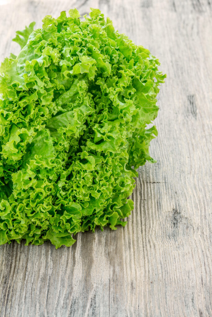 Lettuce: A Versatile Superfood and a Recipe for a Healthy Diet